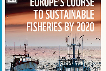 Member States falling behind on Common Fisheries Policy implementation, new WWF report finds